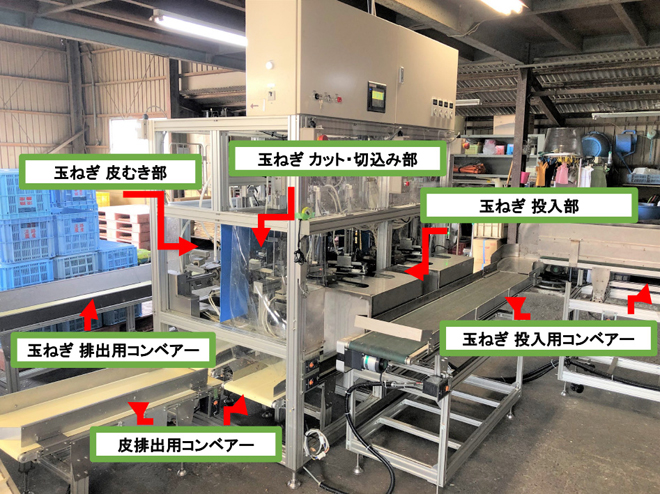 食品加工自動化　玉ねぎ皮むき機「むきの助」の各部機能